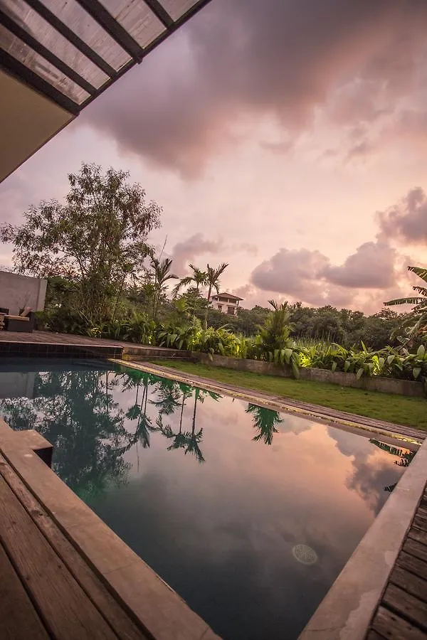 The Mangrove Hotel Colombo